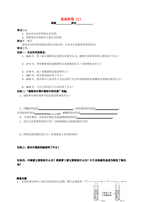 江苏省泗洪中学高中生物 4.2光合作用学案1(无答案)苏教版必修1