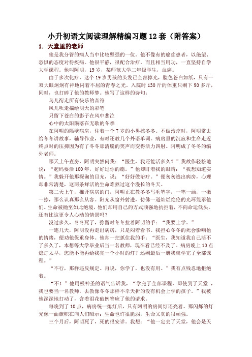 小升初语文阅读理解精编习题12套(附答案)(精)