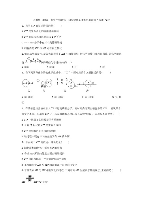 2019-2020学年高中生物人教版(2019)必修一同步学典:5.2细胞的能量“货币“ATP Word版含答案