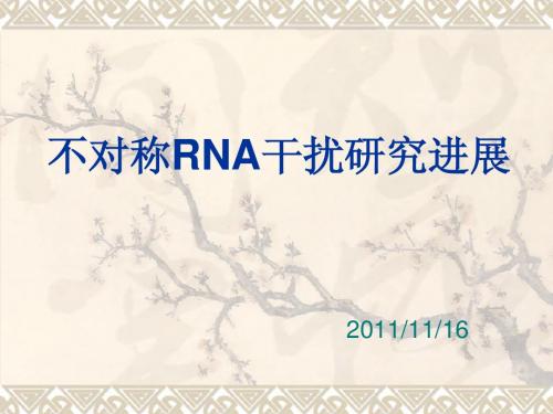 2-不对称RNA 干扰研究进展