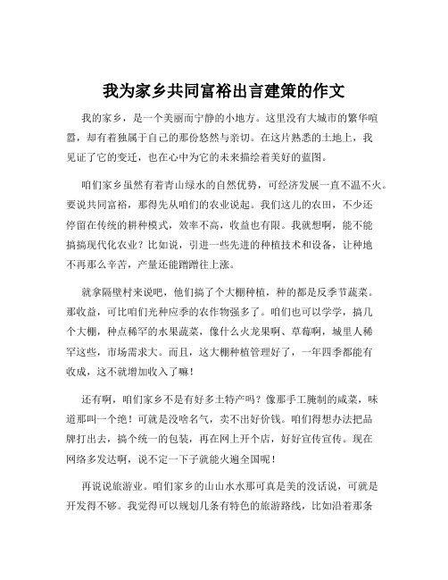 我为家乡共同富裕出言建策的作文