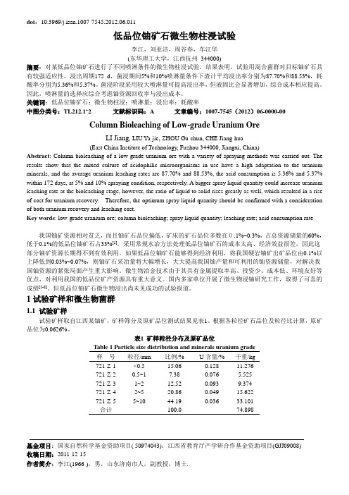 低品位铀矿石微生物柱浸试验