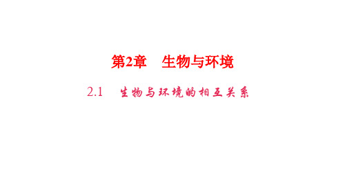 浙教版九年级科学下册第2章生物与环境PPT习题课件