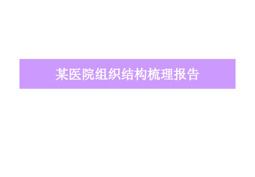 组织结构梳理报告ppt课件