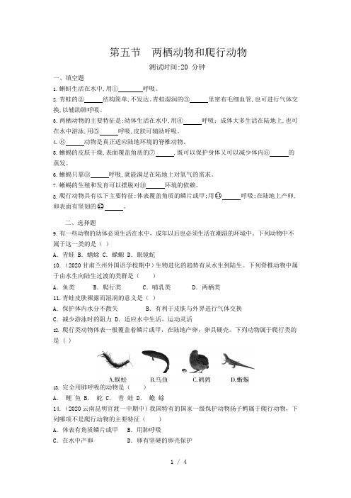 人教版生物八年级上册 5.1.5 两栖动物和爬行动物 同步测试题