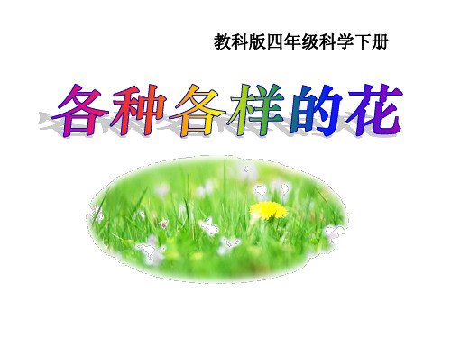 四年级下 各种各样的花教科版实用PPT (共40张PPT)