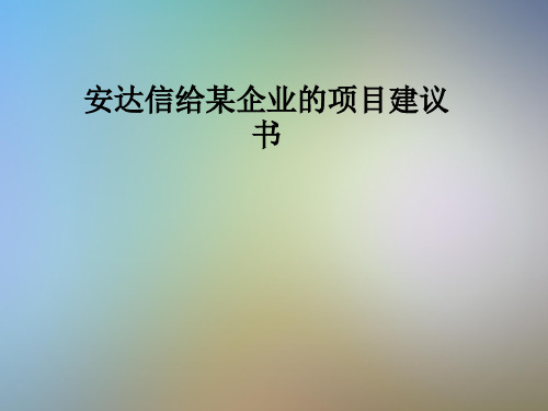 安达信给某企业的项目建议书