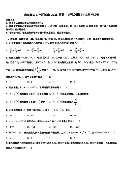 山东省泰安市肥城市2025届高三第五次模拟考试数学试卷含解析