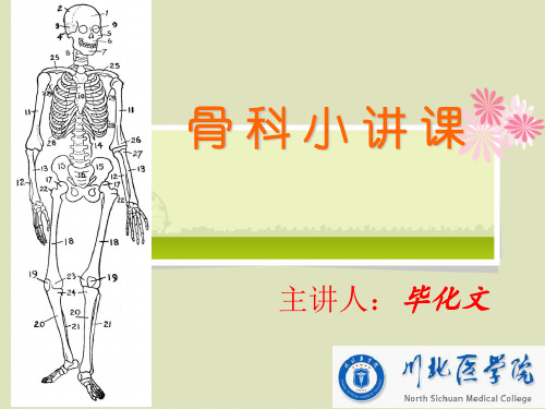 骨科小讲课