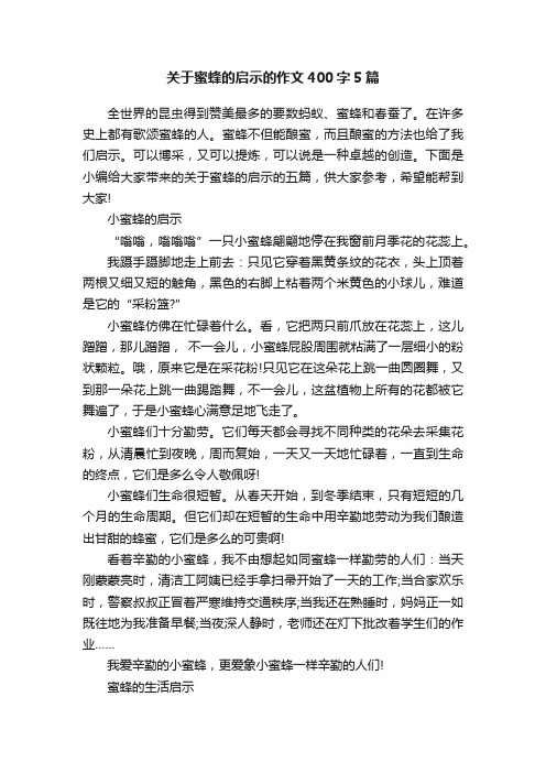 关于蜜蜂的启示的作文400字5篇