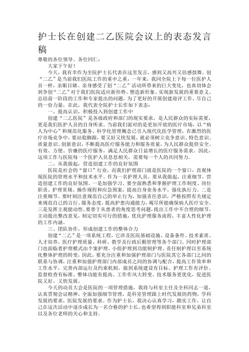 创二乙护士长表态发言稿 (2)