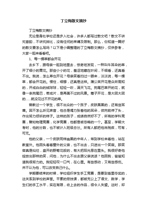 丁立梅散文摘抄