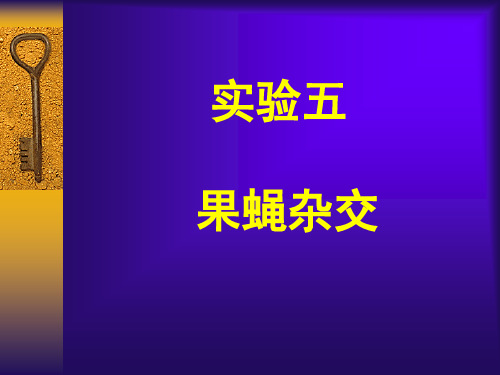 果蝇的三点试验