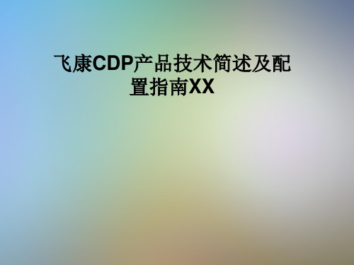 飞康CDP产品技术简述及配置指南XX