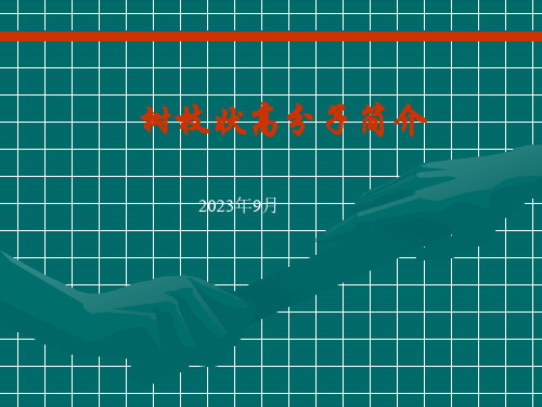 树枝状高分子简介