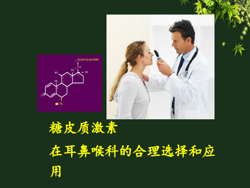 耳鼻喉科  ppt课件