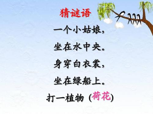 《荷花》PPT带生字的课件(人教版三年级语文下册课件)