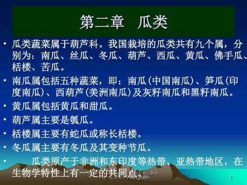 瓜类蔬菜属于葫芦科我国栽培瓜类共有九个属-PPT文档资料