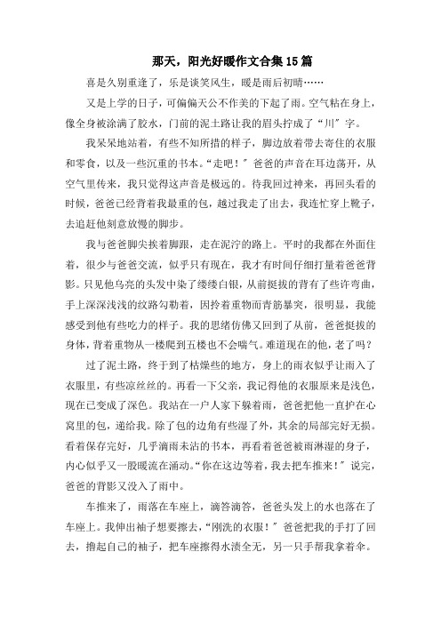 那天,阳光好暖作文合集15篇精选