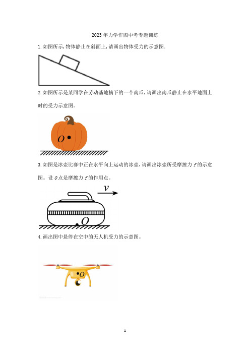 2023年力学作图中考专题训练