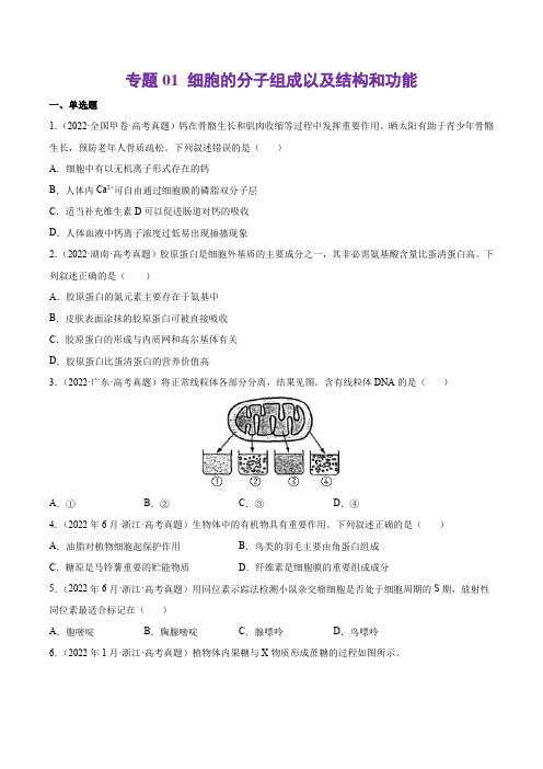 (2013-2022)十年高考生物真题分类汇编 专题01 细胞的分子组成以及结构和功能