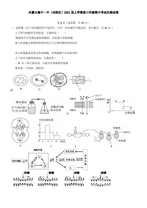内蒙古集宁一中(西校区)2021届上学期高三年级期中考试生物试卷