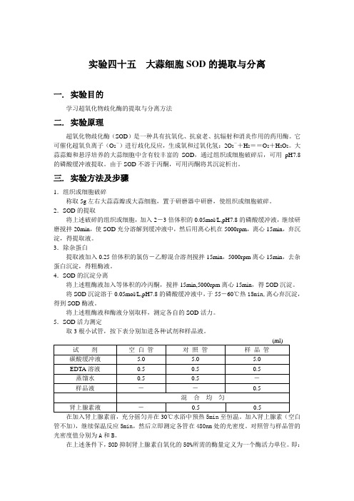 大蒜细胞SOD的提取与分离