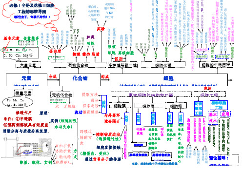 生物必修一物质基础与细胞思维导图