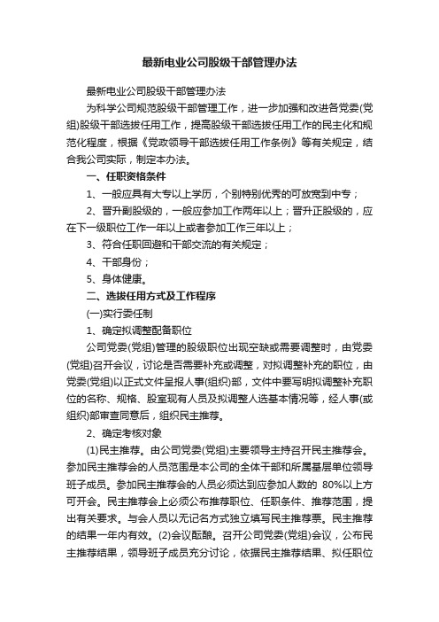 最新电业公司股级干部管理办法