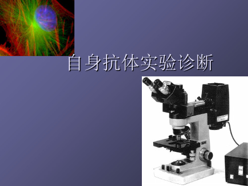 风湿性疾病概述ppt课件