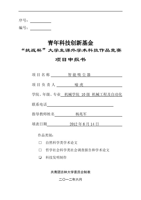 01青年科技创新基金项目申报书申报书