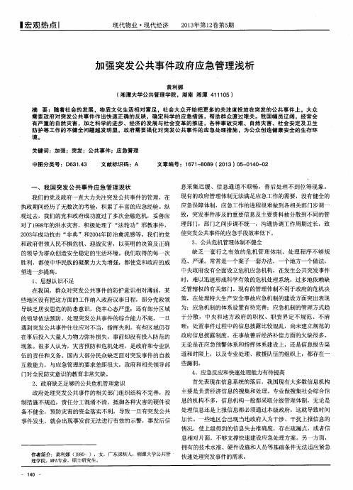 加强突发公共事件政府应急管理浅析