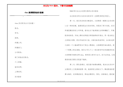 vbse实训财务会计总结