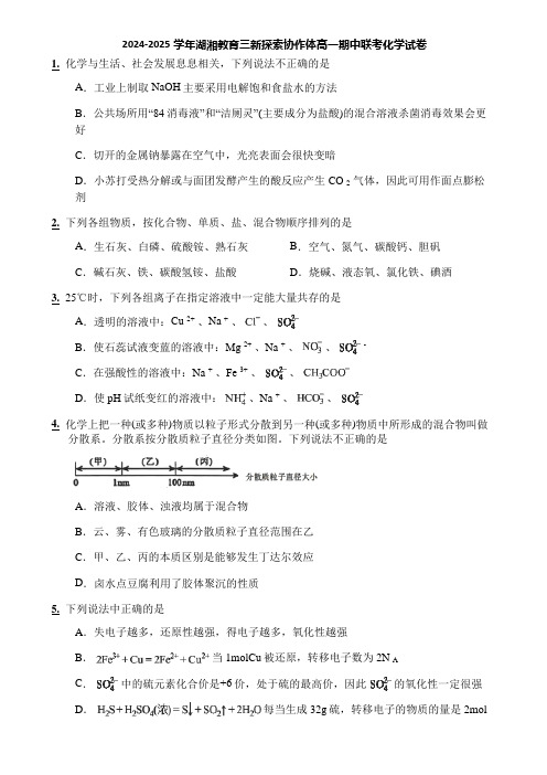 2024-2025学年湖湘教育三新探索协作体高一期中联考化学试卷