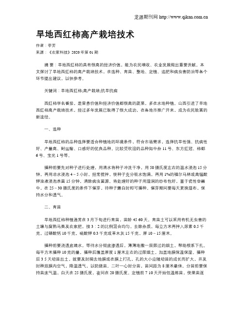 旱地西红柿高产栽培技术