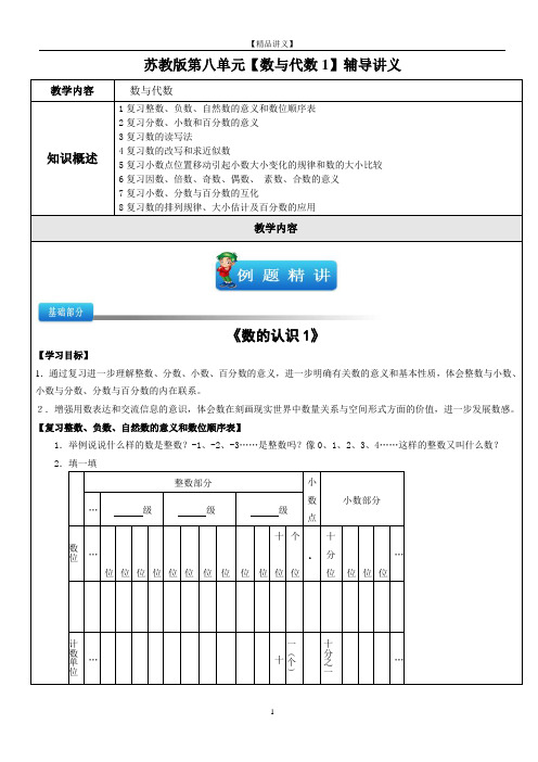 苏教版六年级数学(下)第八单元【数与代数一】讲义及试题