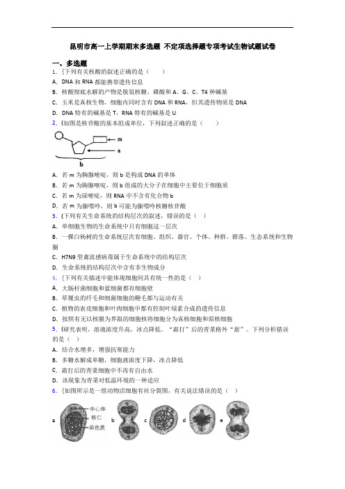 昆明市高一上学期期末多选题 不定项选择题专项考试生物试题试卷