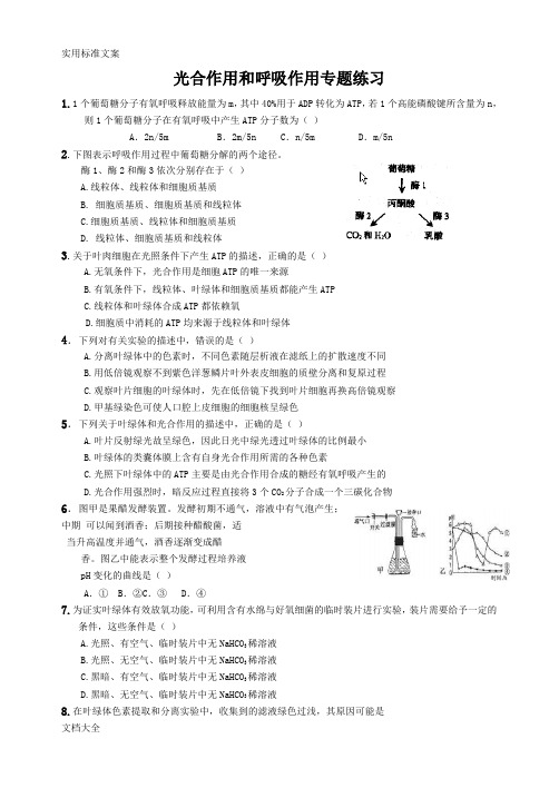 光合作用和呼吸作用专题练习题及问题详解