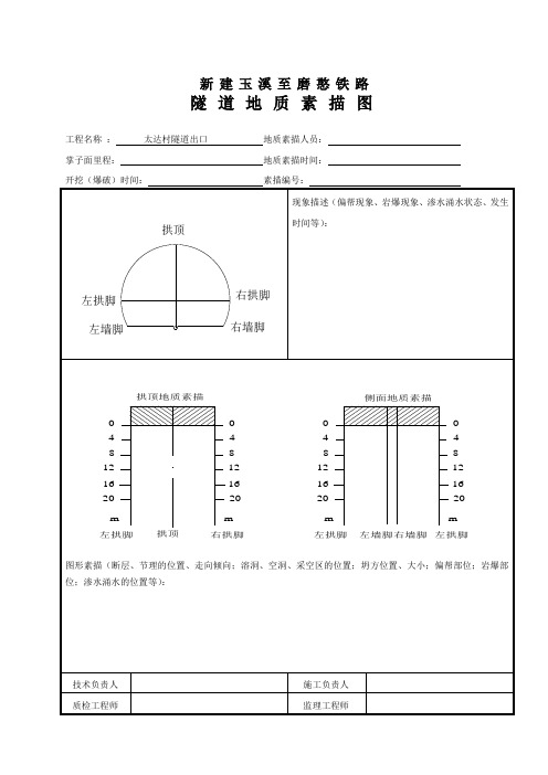 正洞地质素描表格