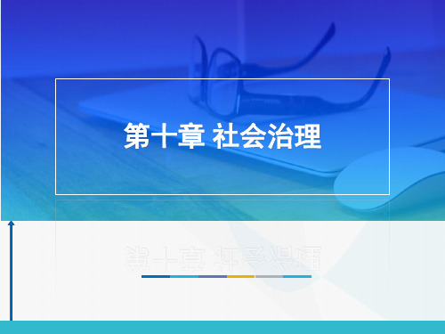 当代中国政府与政治课件第十章社会治理