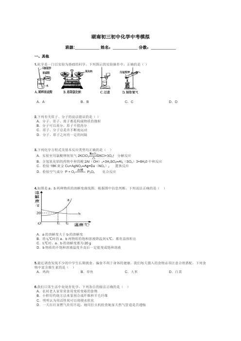 湖南初三初中化学中考模拟带答案解析
