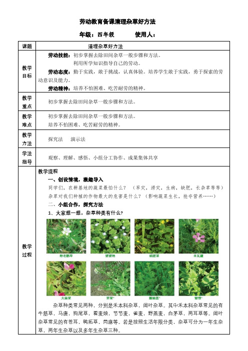 劳动教育课程《清理杂草好方法》教学设计