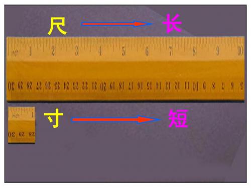 【四年级语文上册优质课件】人教版四年级语文上册28.尺有所短寸有所长(精品课件)ppt