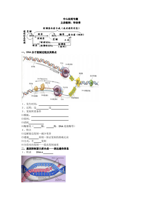 高考生物总复习例题讲解：中心法则专题