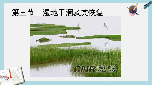 人教版高中地理选修六4.3《湿地干涸及其恢复》ppt课件
