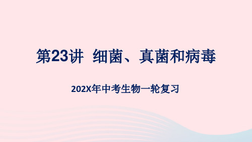 (人教通用)中考生物一轮复习第23讲细菌、真菌和病毒课件