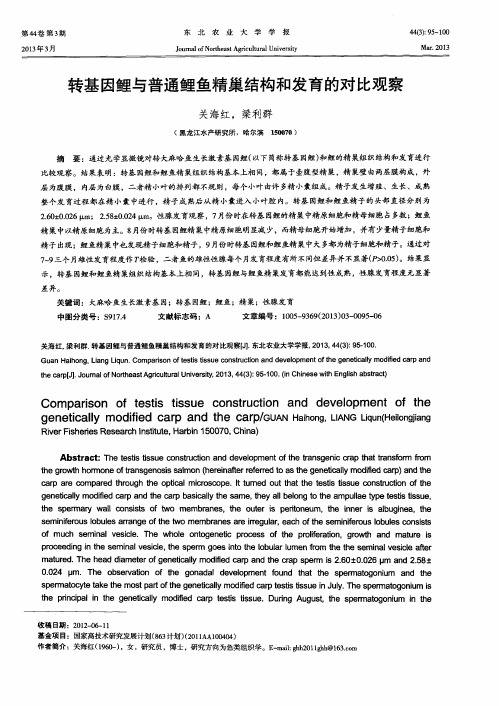 转基因鲤与普通鲤鱼精巢结构和发育的对比观察