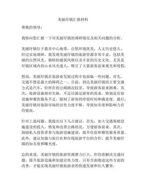 美丽圩镇汇报材料