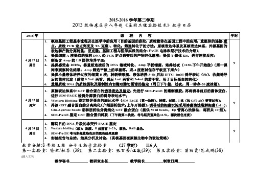 核酸分离纯化及鉴定