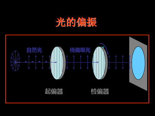 光的偏振起偏和检偏(PPT课件)